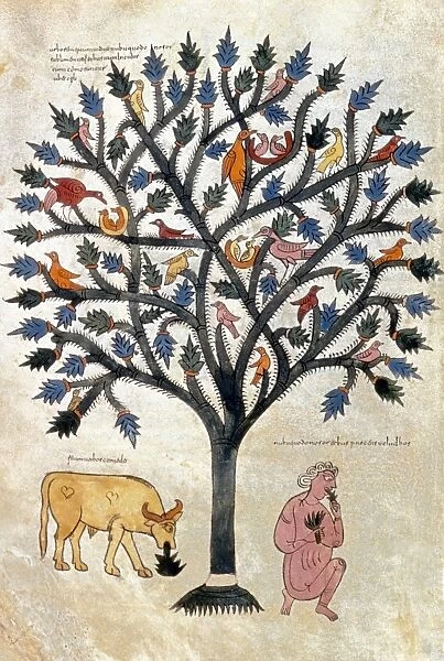 NEBUCHADNEZZAR. Nebuchadnezzar eating grass: Spanish manuscript illumination