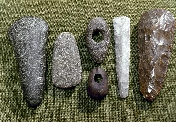 NEOLITHIC TOOLS. Neolithic stone and flint tools found in Essex, England, c2700-1800 B. C