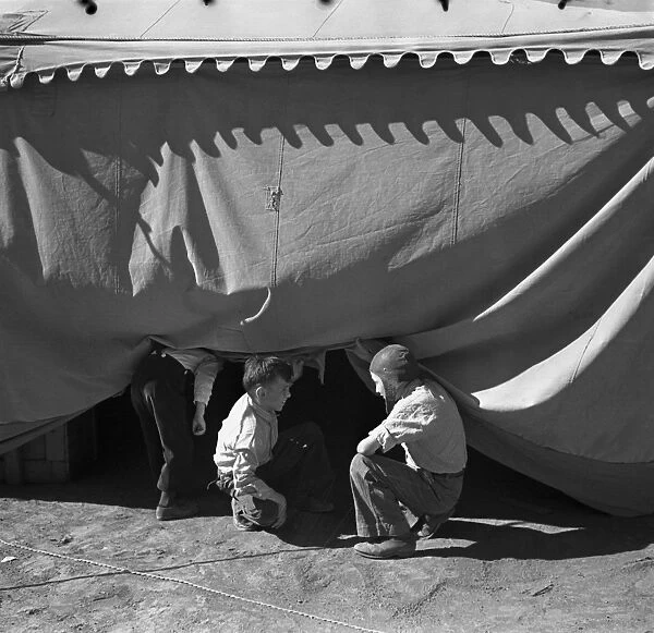 NEW MEXICO: CIRCUS, 1936. Boys sneaking under a circus tent in Roswell, New Mexico