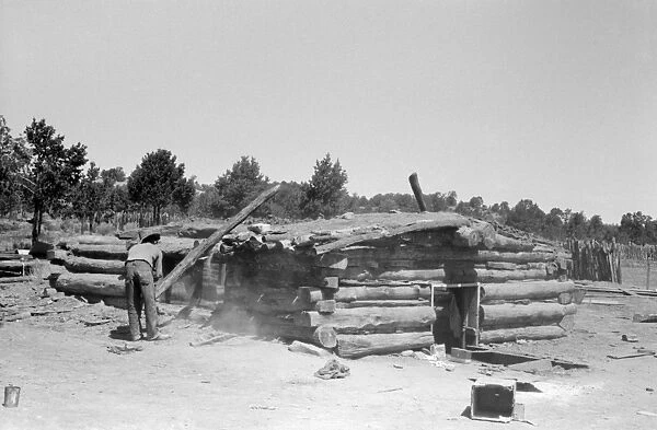 NEW MEXICO: DUGOUT, 1940. John Adams stacking up pinon poles taken from the dugout