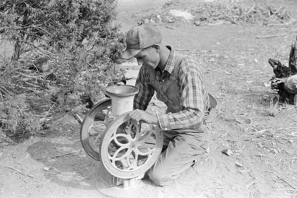 NEW MEXICO: FARMER, 1940. Jack Whinery grinding pinto beans into chicken feed in Pie Town