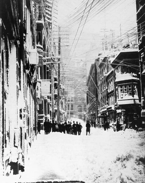 NEW YORK: BLIZZARD OF 1888. Street in New York City with felled power lines after