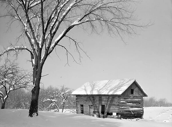 NEW YORK: CABIN, 1937. An abandoned log cabin in Oswego County, New York