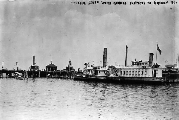 NEW YORK: HOFFMAN ISLAND. A plague ship carrying immigrants with infectious diseases