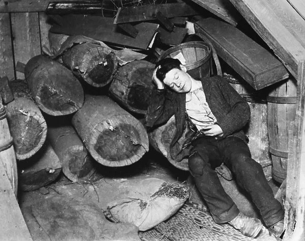 NEW YORK: POVERTY, c1890. Scotty in his lair, a pile of abandonned lumber