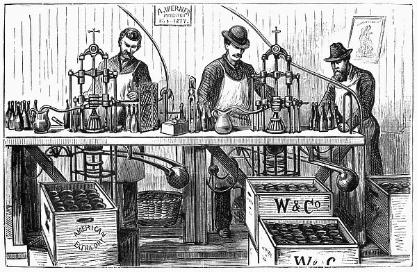 NEW YORK: WINE INDUSTRY. Werner and Company employees bottling champagne in New York City