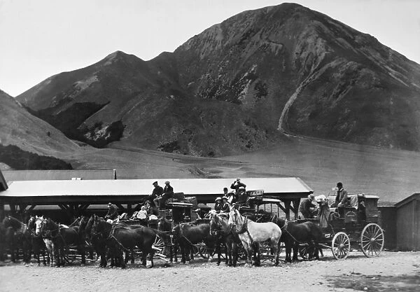 NEW ZEALAND: COACHES, 1900. Coaches at a halt at Arthurs Pass, Malvern County