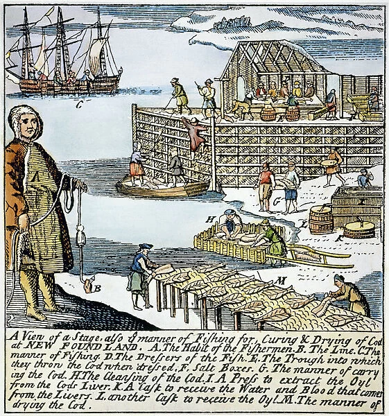 NEWFOUNDLAND FISHERY, 1738. Fishing for, curing and drying codfish in Newfoundland. Color English engraving, 1738