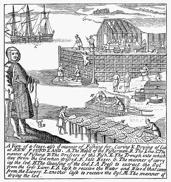 NEWFOUNDLAND FISHERY, 1738. Fishing for, curing, and drying codfish in Newfoundland. Line engraving, English, 1738