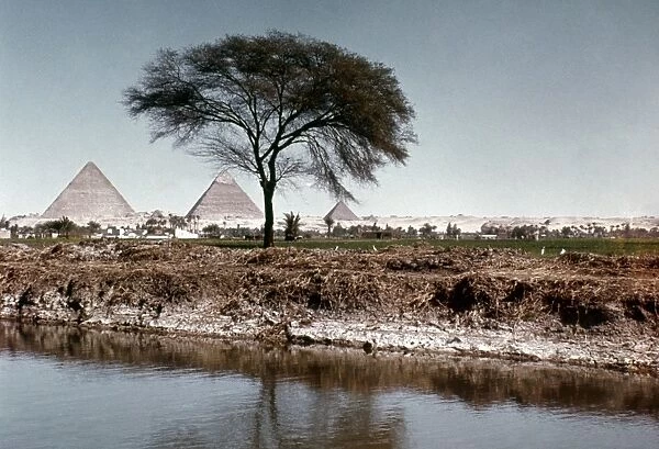 The Nile & Pyramids at Giza. Egypt