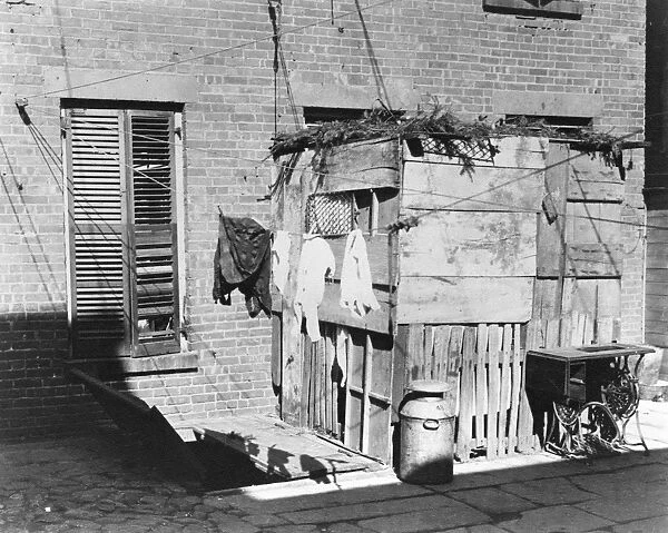 NYC: TENEMENT LIFE, 1897. A Sukkah, the ritual structure for the Jewish Festival of the Booths