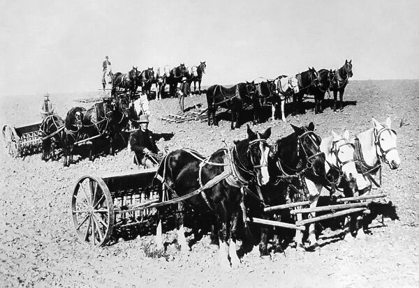 OREGON: FARMERS, c1880. Farmers with horses and farm equipment in eastern Oregon