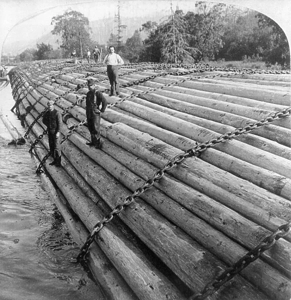 OREGON: LUMBER, 1902. Mill workers standing on a huge log raft, containing millions