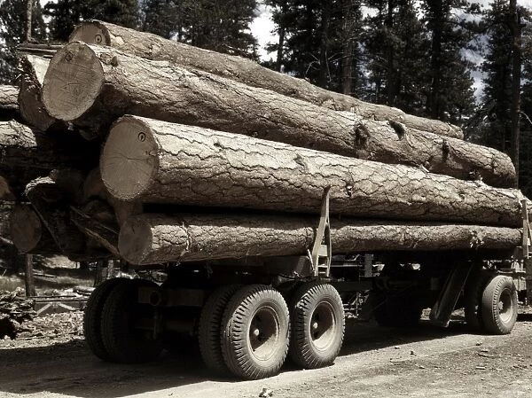 OREGON: LUMBER, 1942. Truck load of ponderosa pine for the Edward Hines Lumber Co