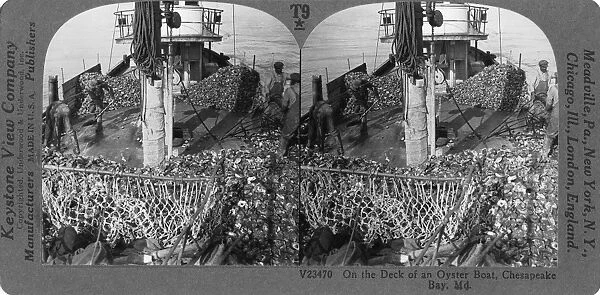 OYSTER BOAT, c1920. Fishermen on the deck of an oyster boat in Chesapeake Bay, Maryland