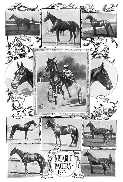 PACER RACEHORSES, 1902. Notable pacer racehorses. Photographs and illustrations, 1902