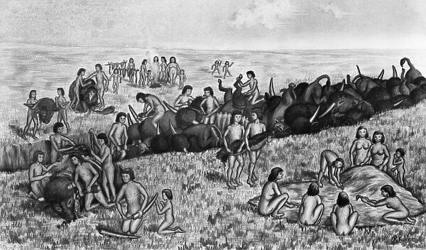 PALEOINDIAN BUFFALO HUNT. Paleoindians butchering buffalo in an arroyo at the Olsen-Chubbuck site