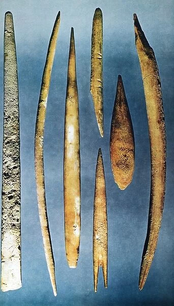 PALEOLITHIC SPEARS. Various paleolithic spears made from bone or antler, ranging from c35, 000 B. C. (right) to c10, 000 B. C. (left)