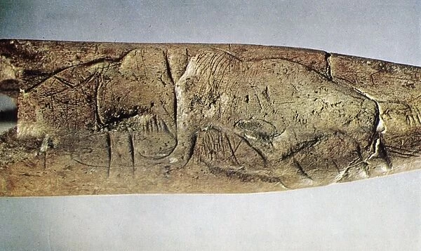 PALEOLITHIC TOOL. Pierced staff with two mammoths, from France, c20, 000 B. C