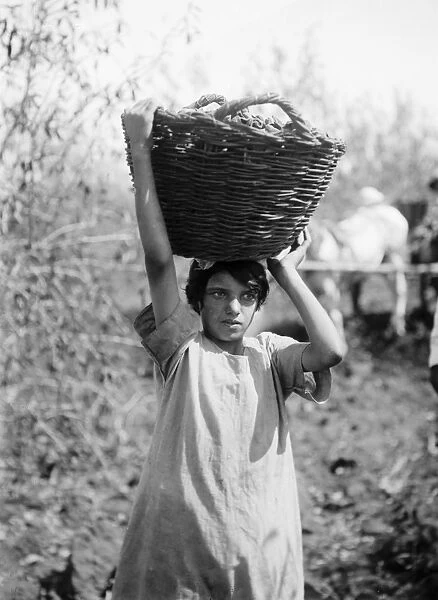 PALESTINE: WOMAN, c1925. A young woman carrying a basket at the Zionist colony of Richon Leziyyon