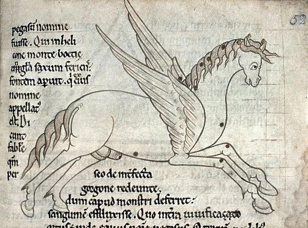 PEGASUS. Pegasus, winged horse of Greek mythology: ms. illumination, English, c1150