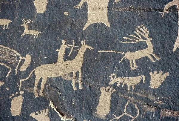 PETROGLYPHS, UTAH. Petroglyph hunting scene at Newspaper Rock, Canyonland National Park, Utah
