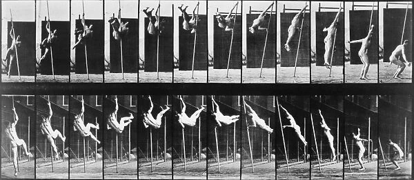 Photographic study by Eadweard Muybridge, 1884