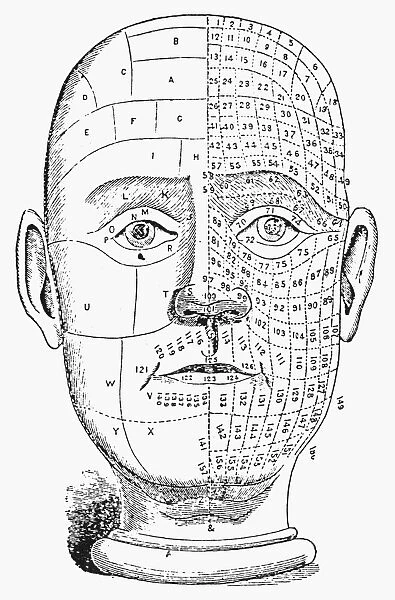 A phrenological chart of the 19th century
