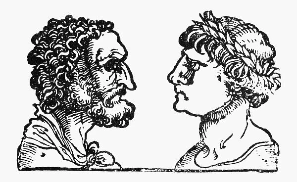 PHYSIOGNOMY, 1533. Foreheads of vain and lustful men