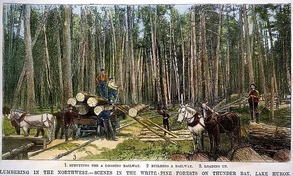 PINE LUMBER being loaded on a railroad flat car in Michigan. Wood engraving, 1888