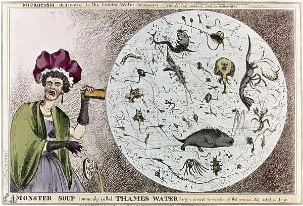POLLUTION CARTOON, c1828. Monster Soup. Satirical etching by William Heath, c1828