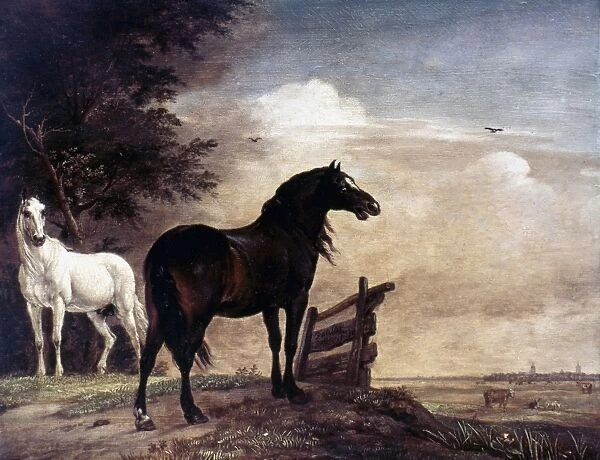 POTTER: HORSES, 1649. Horses In a Field. Painting by Paul Potter