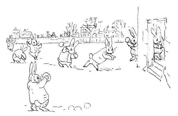POTTER: SNOWBALL FIGHT. Rabbits throwing snowballs