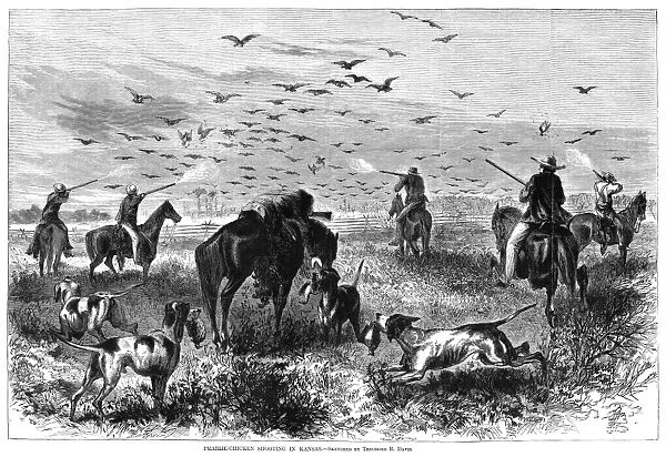 Prairie-Chicken Shooting in Kansas. Wood engraving, American, 1867