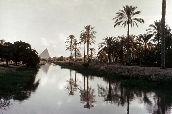 THE PYRAMIDS AT GIZA, EGYPT seen from a canal