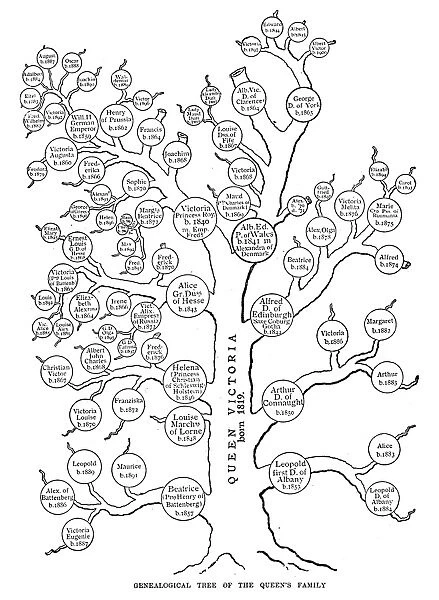 QUEEN VICTORIA FAMILY TREE. Genealogical tree of Queen Victorias descendants