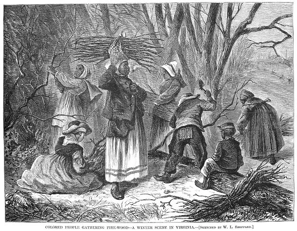 RECONSTRUCTION, 1868. Colored people gathering firewood - A winter scene in Virginia. Wood engraving, 1868, from a contemporary American newspaper