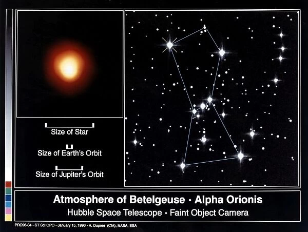 The red supergiant Betelgeuse photographed in ultraviolet light by the Faint Object Camera of NASAs Hubble Space Telescope, 3 March 1995. The diagram at right shows its position as the left shoulder of the constellation Orion, and the scale at lower left contrasts its size with the size of the Earths and Jupiters orbit