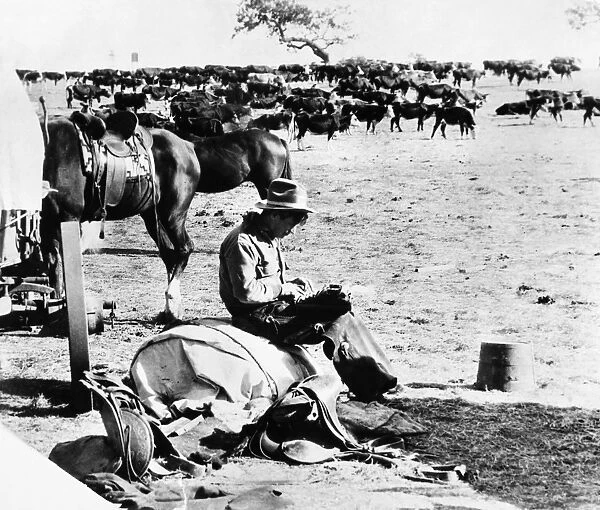 WILL ROGERS (1879-1935). American humorist. Rogers typing on a typewriter on a cattle ranch