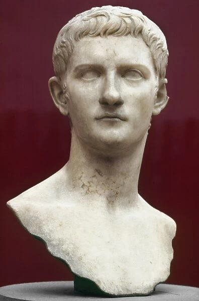 Roman emperor, 37-41 A. D. Roman marble bust