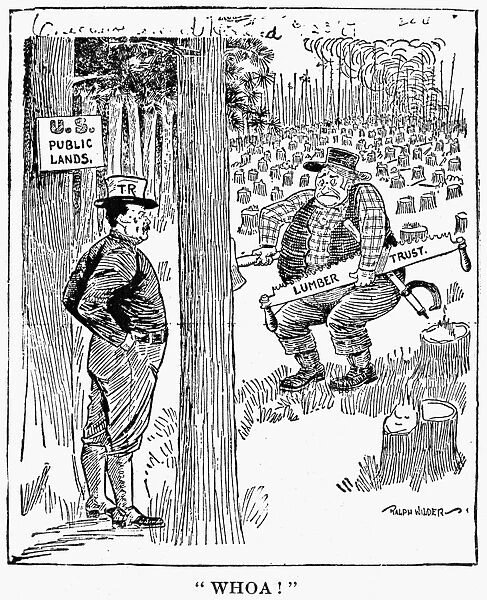 Roosevelt Cartoon, 1900S