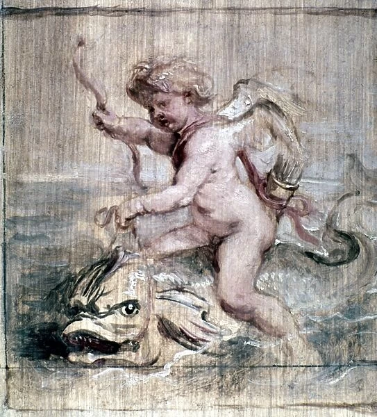 RUBENS: CUPID ON DOLPHIN. Cupid riding on a dolphin. Peter Paul Rubens