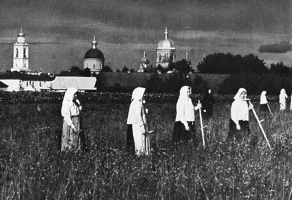 RUSSIA: PEASANTS, 1909. Peasant women harvesting hay. Photograph
