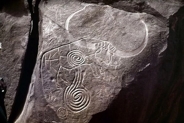 SAHARAN ROCK PAINTING. Prehistoric Saharan rock relief of antelope with superimposed spiral design