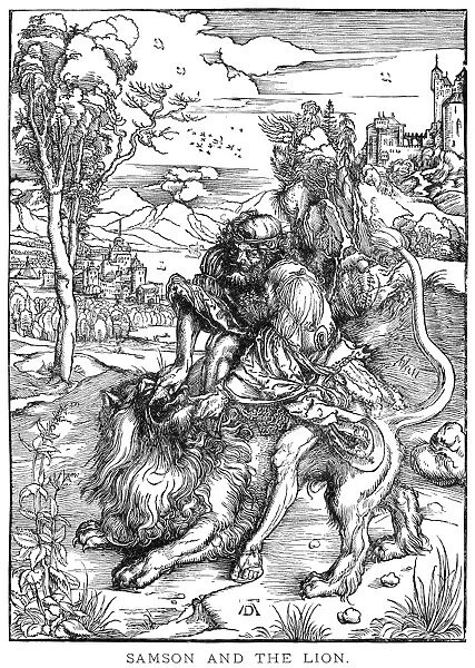 SAMSON & THE LION. Woodcut by Albrecht Durer (1471-1528)