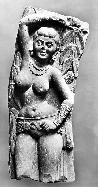 Sandstone sculpture of a Yakshini, a benevolent tree spirit in Sanskrit mythology, who looks after treasure hidden in the earth. From a Jain stupa at Mathura in Northern India, Kushan dynasty ear, 2nd century A. D