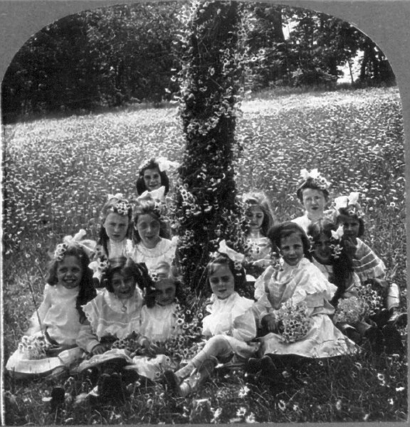 Schoolgirls sitting around a decorated tree used for a Maypole in celebration of May Day, in rural America. Stereograph, c1906