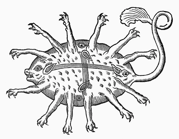 SEA CREATURE, 16th CENTURY. Sea creature sighted between Antibes and Nice. Woodcut