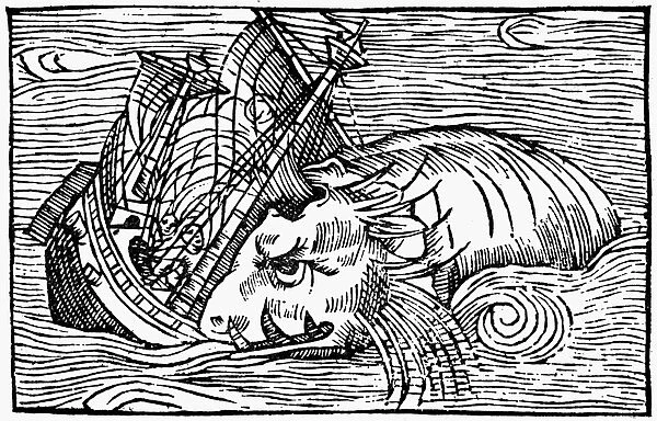 SEA MONSTER, 1555. Woodcut from Olaus Magnus Historia de Gentibus Septentrionalibus