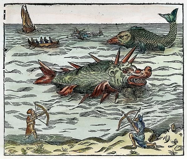 SEA MONSTER, 16th CENTURY. Mariners battling sea monsters